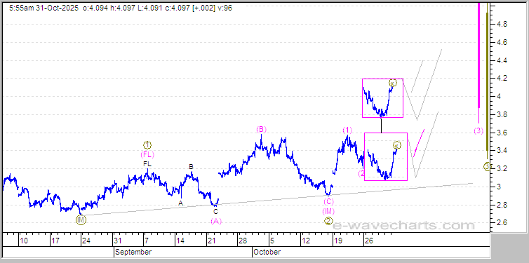 Elliott Wave Natural Gas Forecast